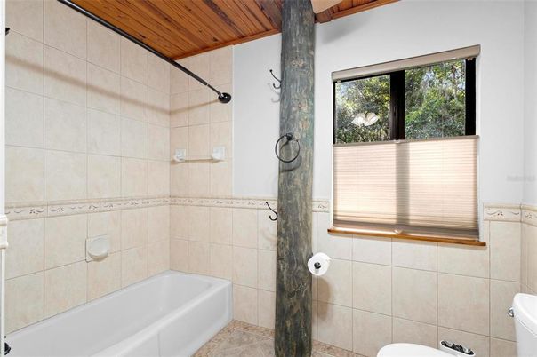Bathroom, Interior, Wooden Ceilings