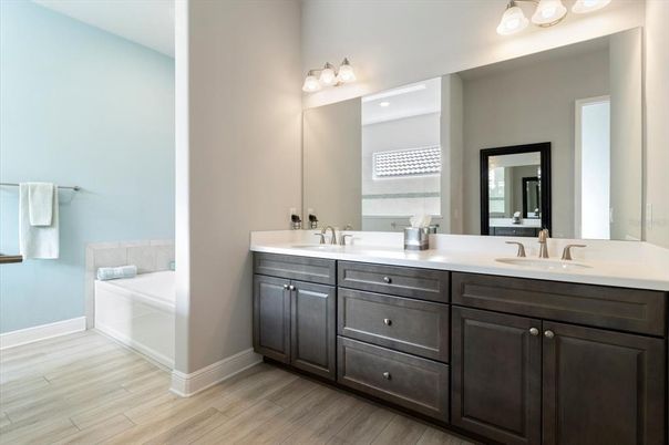 Bathroom, Dual Sink Vanities, Interior, Wood Texture Flooring
