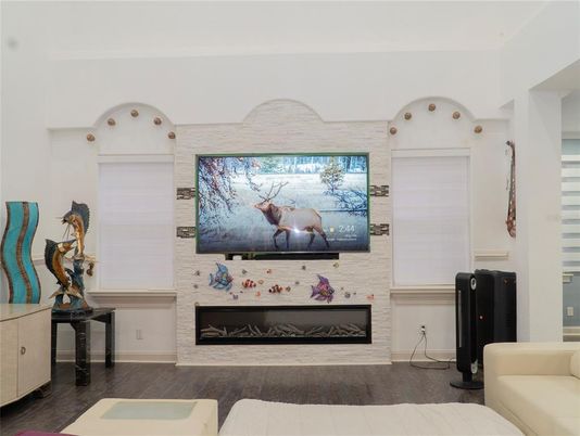 Fireplace, Interior, Wood Texture Flooring