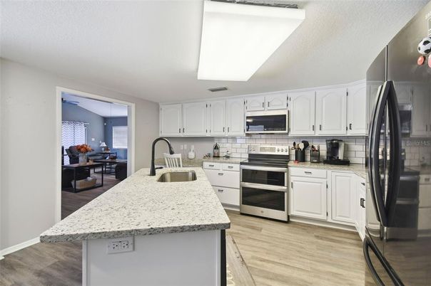 Interior, Kitchen, Stainless Steel Appliances, Wood Texture Flooring