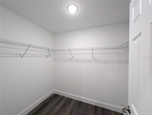 Interior, Walk-in Closets, Wood Texture Flooring