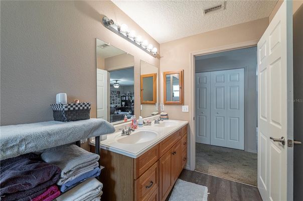 Bathroom, Dual Sink Vanities, Interior, Wood Texture Flooring