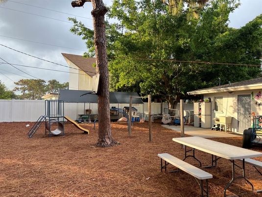 Backyard, Exterior, Playground