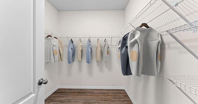 Interior, Walk-in Closets, Wood Texture Flooring