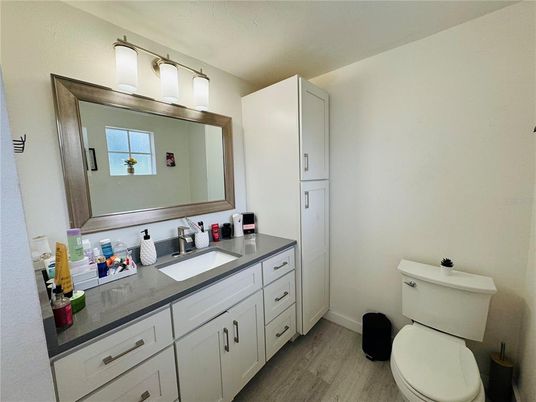 Bathroom, Dual Sink Vanities, Interior, Wood Texture Flooring