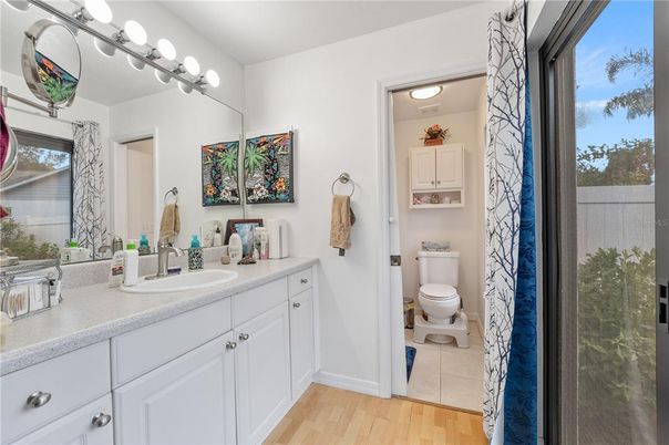 Bathroom, Dual Sink Vanities, Interior, Wood Texture Flooring