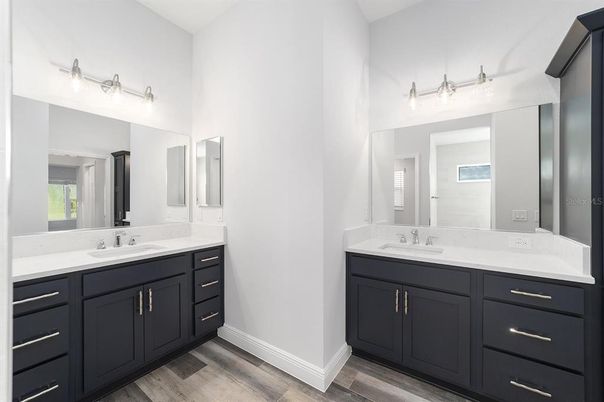 Bathroom, Dual Sink Vanities, Interior, Wood Texture Flooring