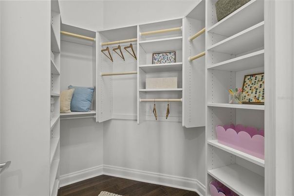 Interior, Walk-in Closets, Wood Texture Flooring