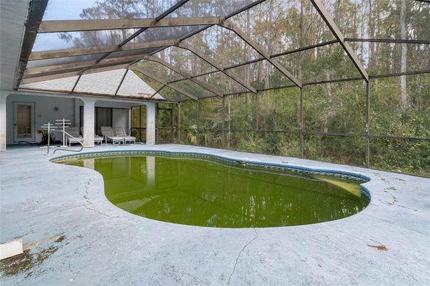 Glass Ceilings, Interior, Pool, Sun Room