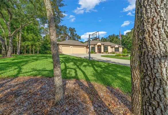 Backyard, Detached Garage, Exterior