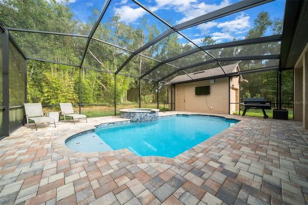 Glass Ceilings, Interior, Pool, Sun Room