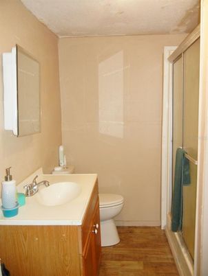 Bathroom, Glass Shower, Interior, Wood Texture Flooring