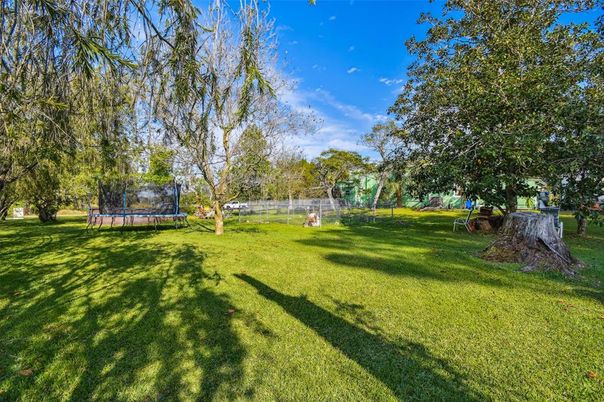 Backyard, Exterior, Playground