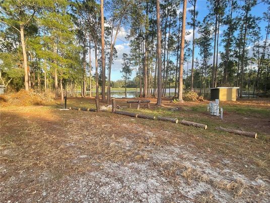 Backyard, Exterior, Water