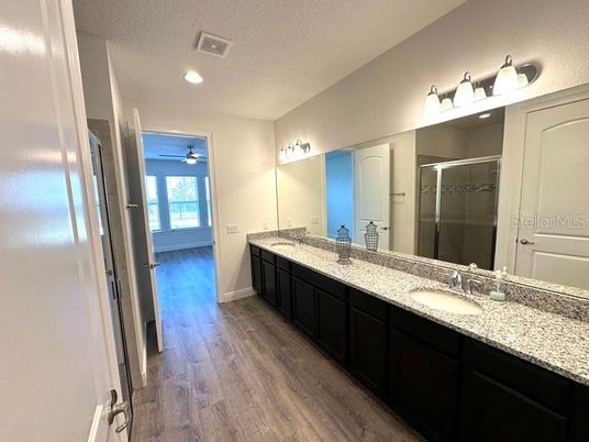 Bathroom, Dual Sink Vanities, Interior, Recessed Lighting, Wood Texture Flooring