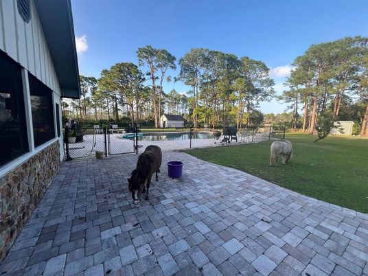 Backyard, Exterior, Pool