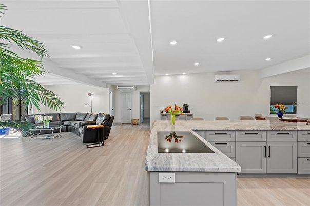 Interior, Kitchen, Living room, Recessed Lighting, Wood Texture Flooring