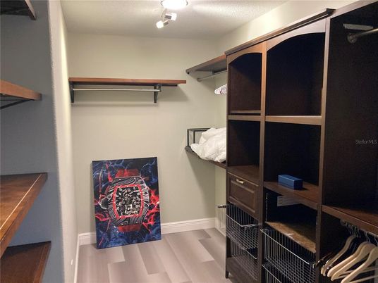 Interior, Walk-in Closets, Wood Texture Flooring