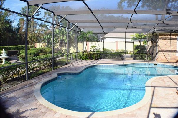Glass Ceilings, Interior, Pool, Sun Room