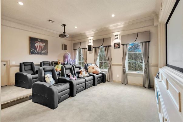Home Theatre Room, Interior, Projection Screen, Recessed Lighting, Theatre Room