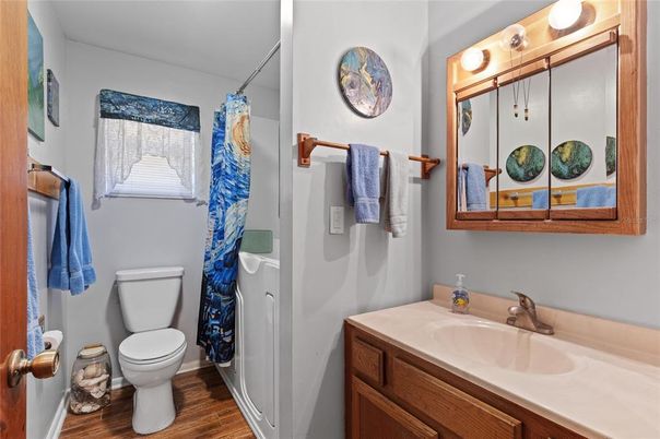 Bathroom, Interior, Wood Texture Flooring