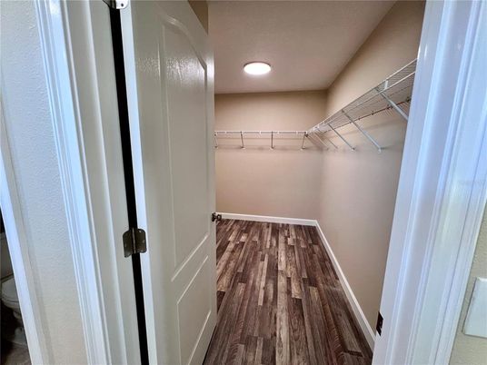 Interior, Walk-in Closets, Wood Texture Flooring