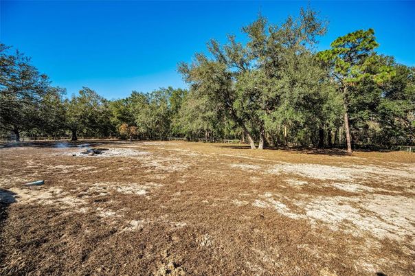 Backyard, Exterior, Lake