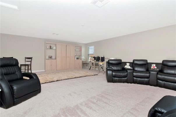 Home Theatre Room, Interior