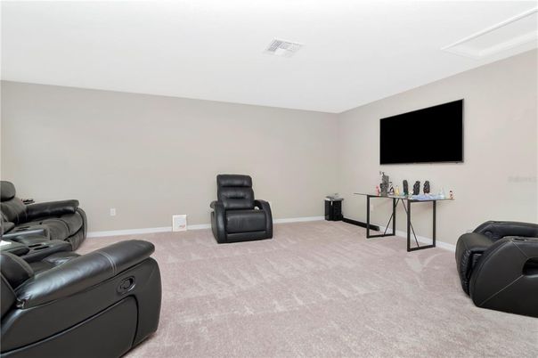 Home Theatre Room, Interior