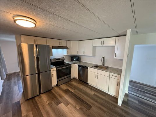 Interior, Kitchen, Stainless Steel Appliances, Wood Texture Flooring