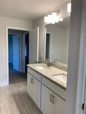 Bathroom, Dual Sink Vanities, Interior, Wood Texture Flooring