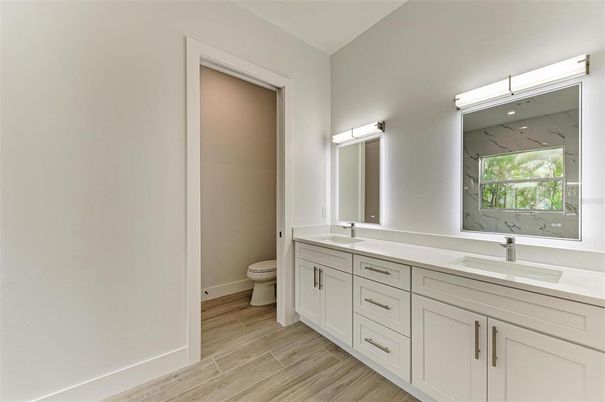 Bathroom, Dual Sink Vanities, Interior, Wood Texture Flooring