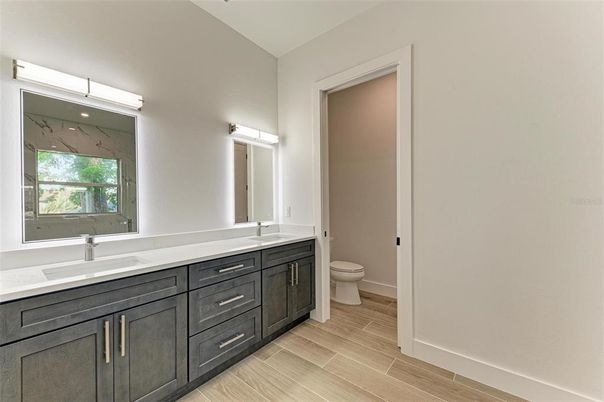 Bathroom, Dual Sink Vanities, Interior, Wood Texture Flooring