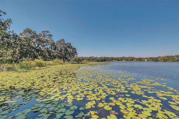 Exterior, Lake