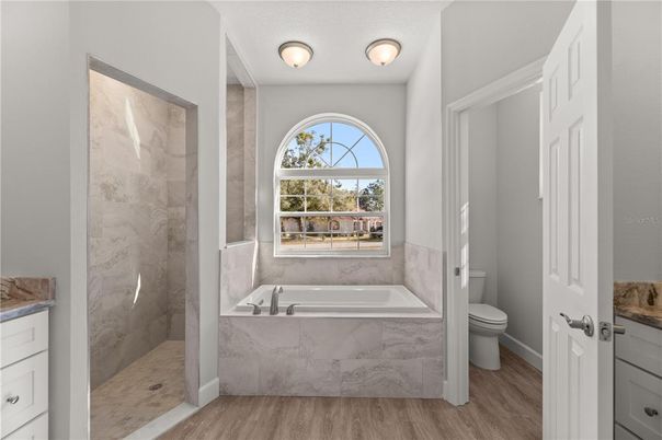Bathroom, Interior, Marble Walls, Wood Texture Flooring