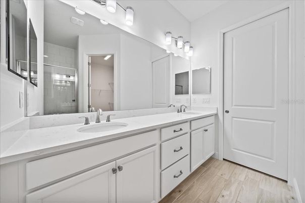 Bathroom, Dual Sink Vanities, Interior, Wood Texture Flooring