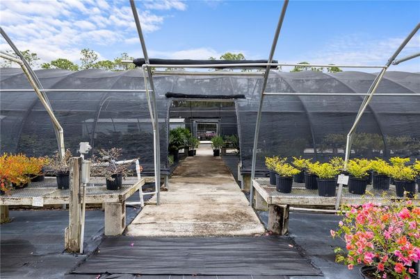 Glass Ceilings, Sun Room