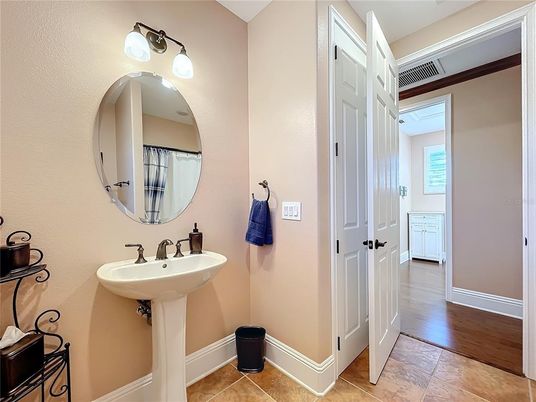 Bathroom, Interior, Wood Texture Flooring