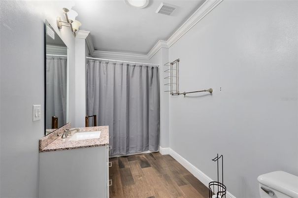 Bathroom, Interior, Wood Texture Flooring