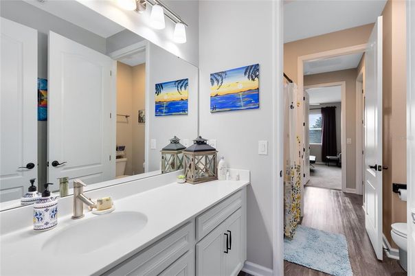 Bathroom, Dual Sink Vanities, Interior, Wood Texture Flooring