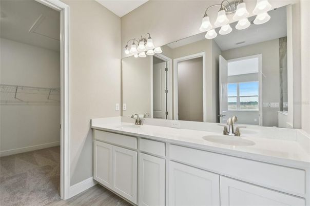 Bathroom, Dual Sink Vanities, Interior, Wood Texture Flooring