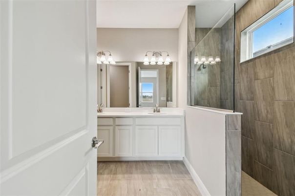 Bathroom, Dual Sink Vanities, Interior, Wood Texture Flooring