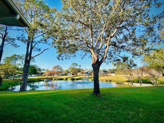 Exterior, Lake