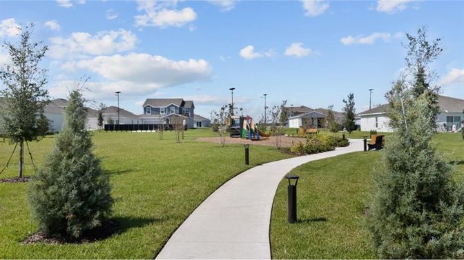Backyard, Exterior, Playground
