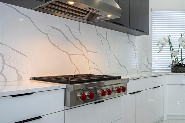 Interior, Kitchen, Marble Walls, Stainless Steel Appliances