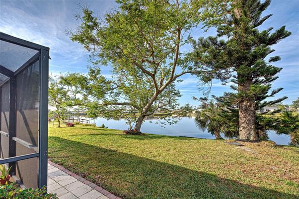Backyard, Exterior, Water