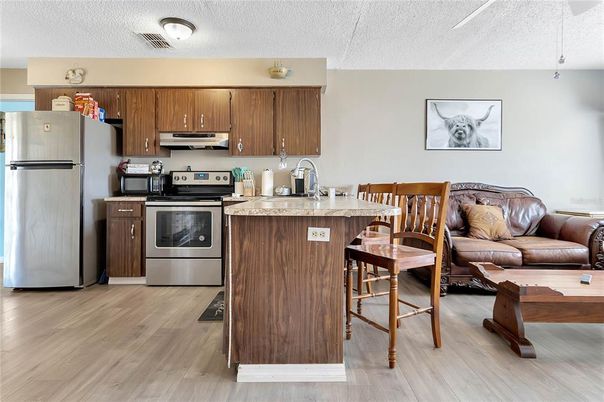 Interior, Kitchen, Stainless Steel Appliances, Wood Texture Flooring