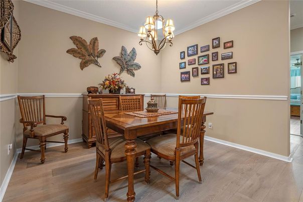 Chandelier, Dining room, Interior, Wood Texture Flooring
