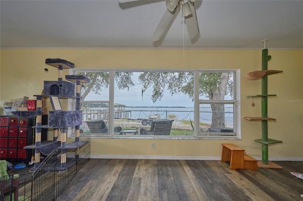 Interior, Water, Wood Texture Flooring