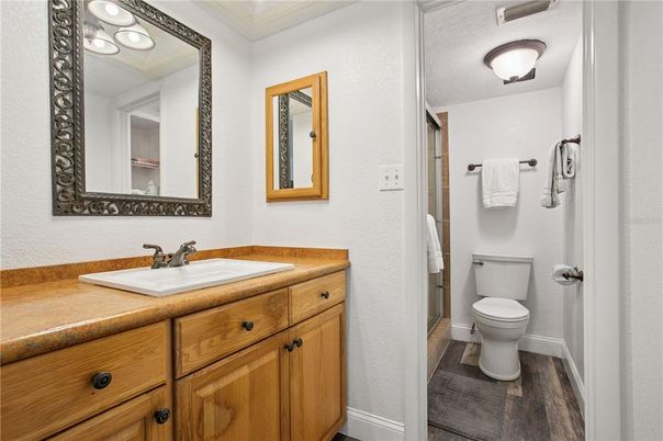Bathroom, Interior, Wood Texture Flooring